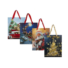 Christmas Medium Gift Bag 18x23cm